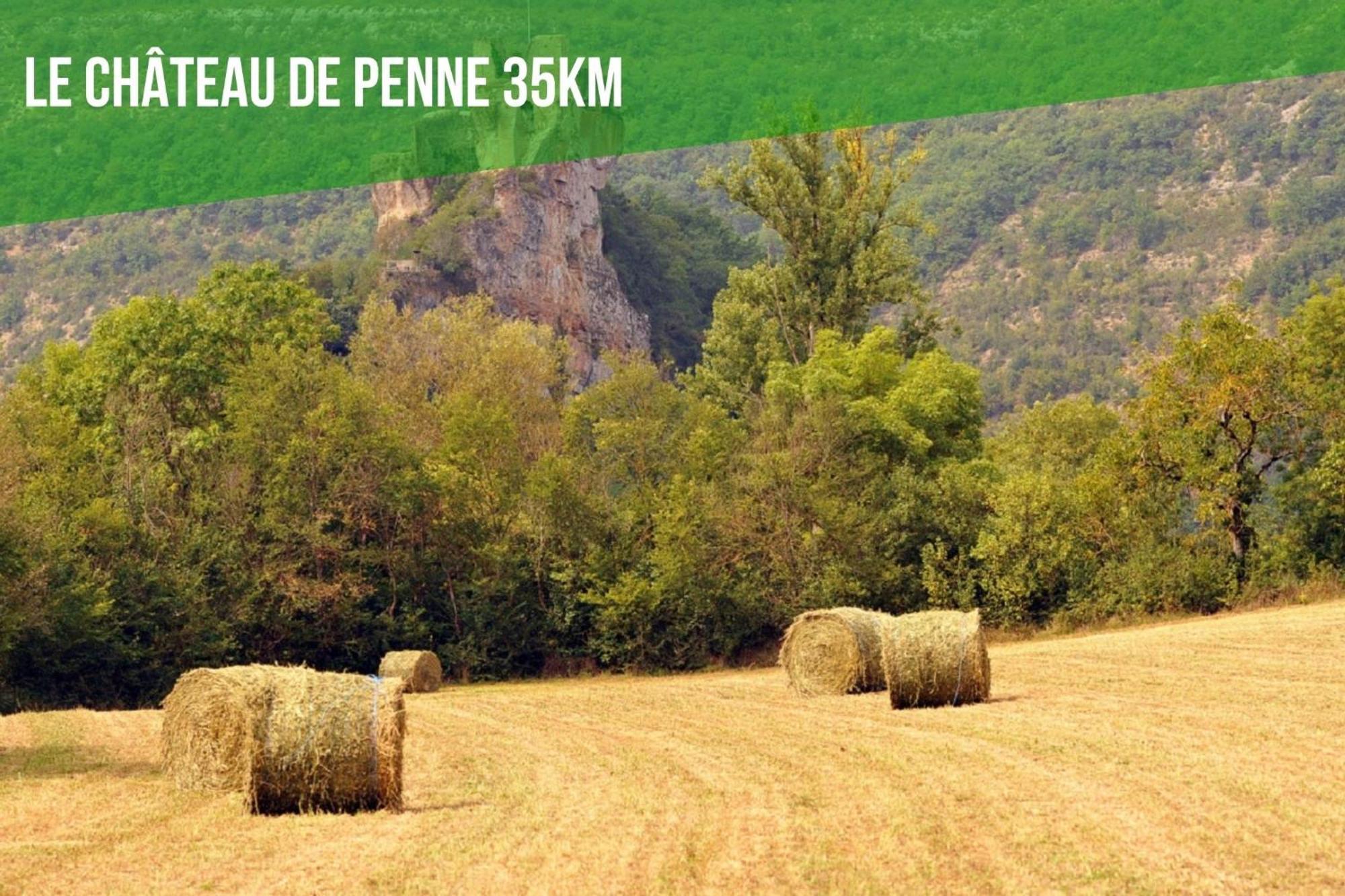 Le Cottage Nature Vigne Rouge Sauna Gaillac Entre Albi-Toulouse & Les Cottages Du Tarn Brens  Dış mekan fotoğraf
